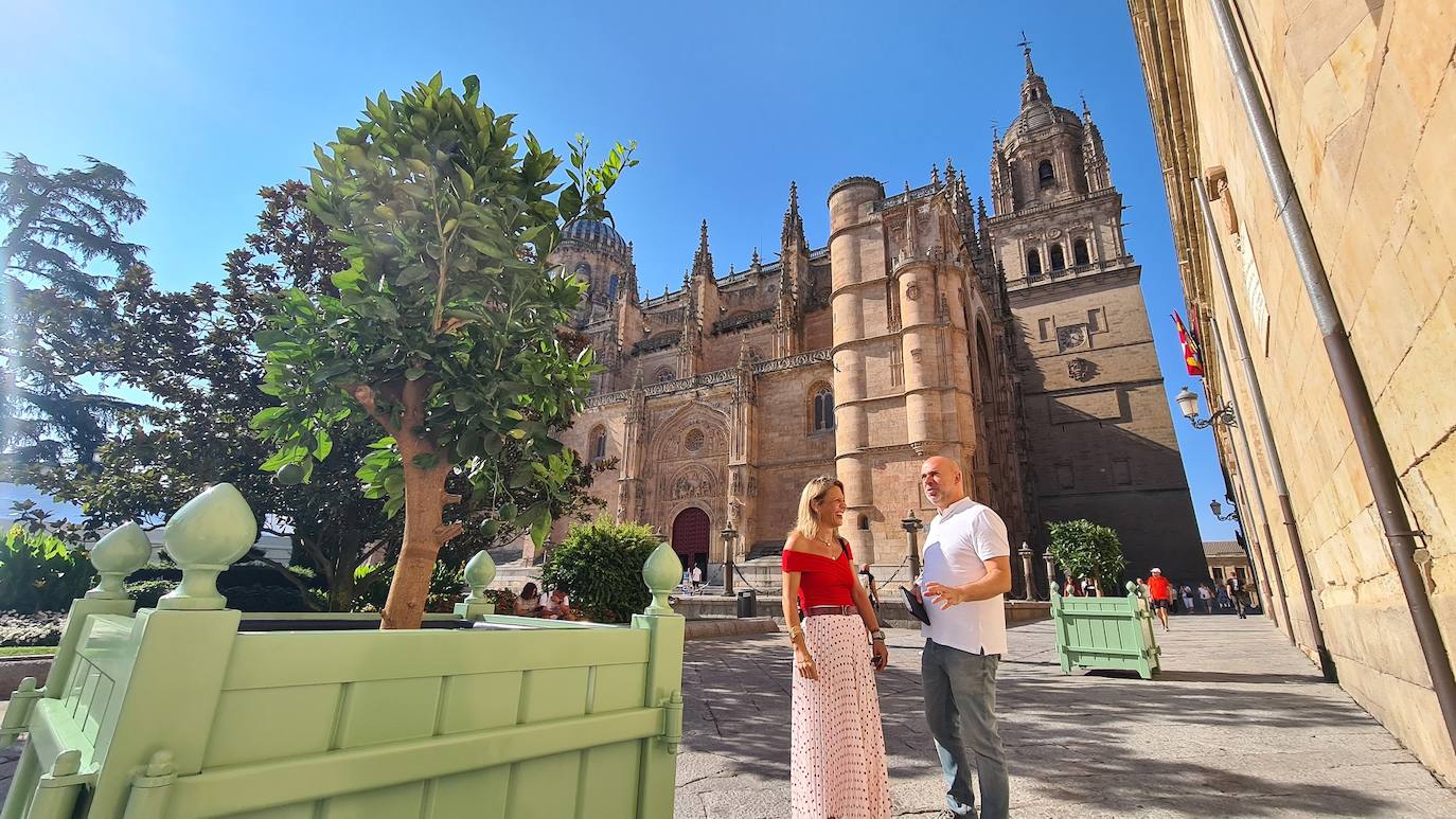 Una de las nuevas jardineras que ha puesto el Ayuntamiento.