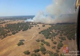 Imagen del incendio en Campillo de Azaba.