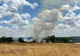 Imagen del incendio de pasto declarado en la mañana de este miércoles en Cabrerizos.