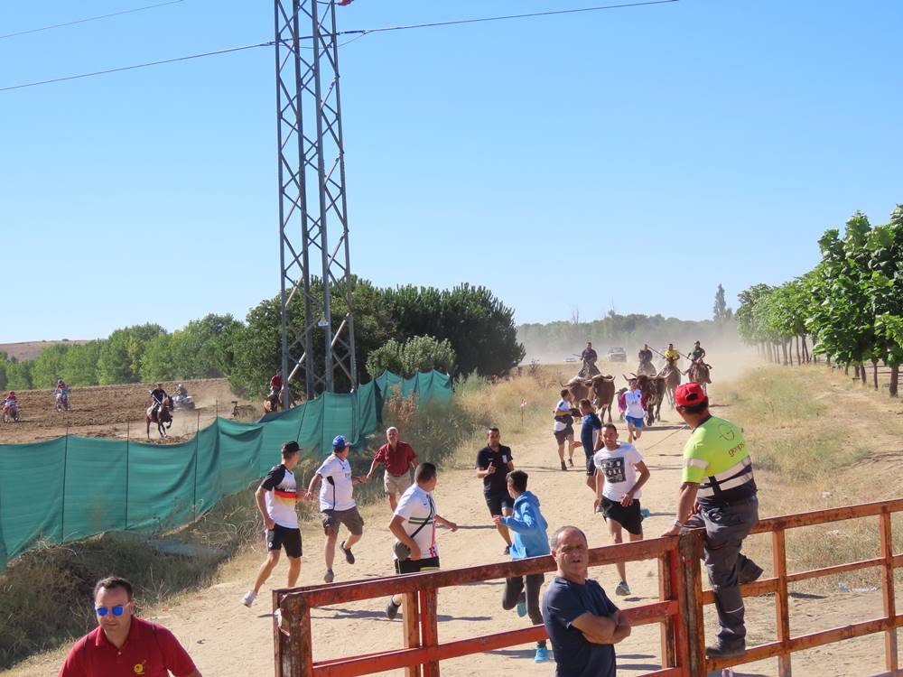 Dos bravos astados protagonizan el campero de Cantalpino