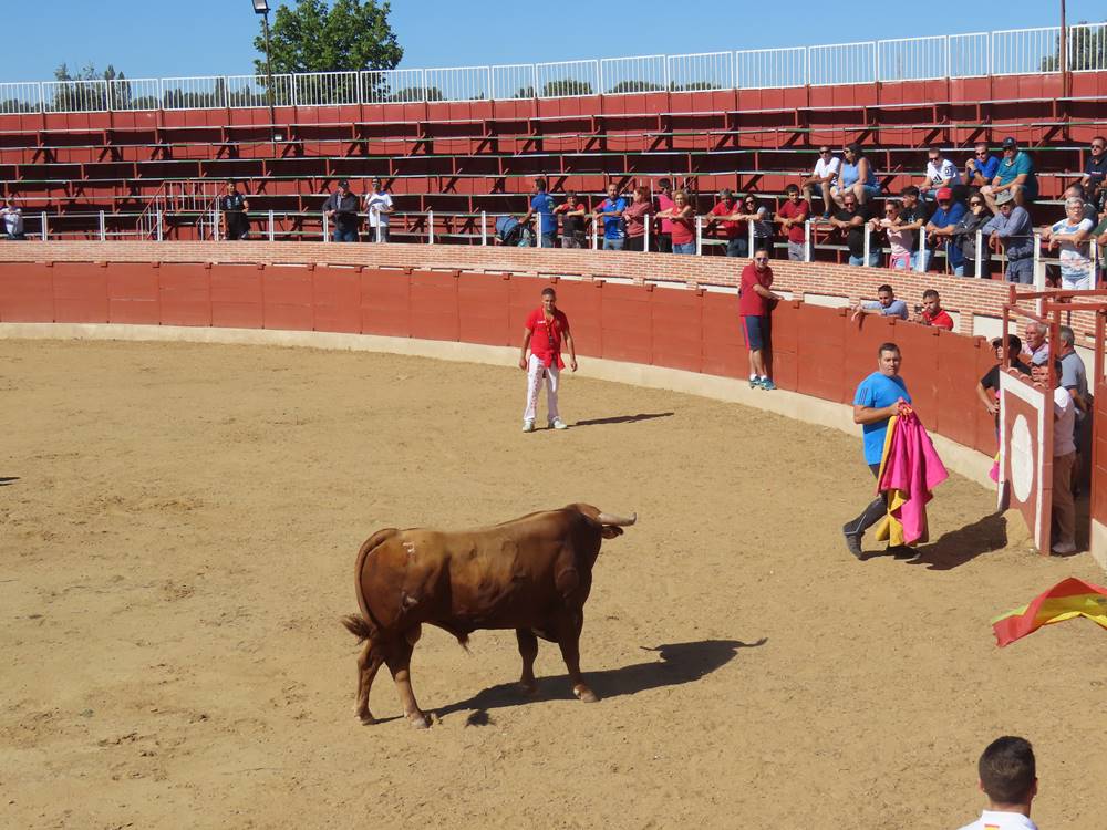 Dos bravos astados protagonizan el campero de Cantalpino