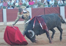 Poderoso derechazo de Manuel Escribano a Esculpido, el cuarto toro de Victorino Martín lidiado y premiado ayer en el coso de Guijuelo.