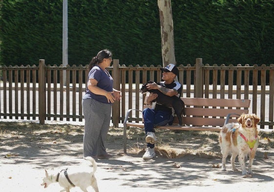 Dos personas con sus perros en el pipican de la avenida Salamanca.