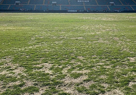 Aspecto que presenta actualmente el nuevo césped del estadio Helmántico.