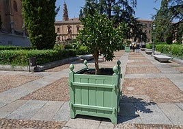 Uno de los maceteros que se encuentra en la plaza de la Catedral.
