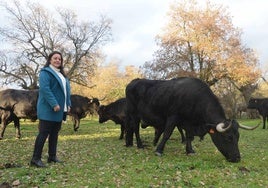 La vaca, junto a otros ejemplares de la ganadería de Castillejo de Martín Viejo.