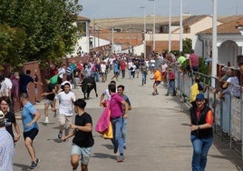 I Toro de la Virgen de la Encina celebrado en Macotera en 2023.