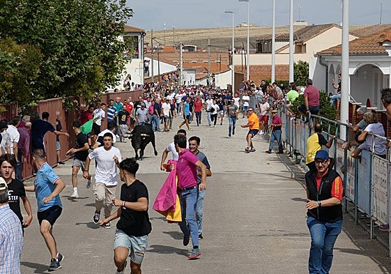 I Toro de la Virgen de la Encina celebrado en Macotera en 2023.