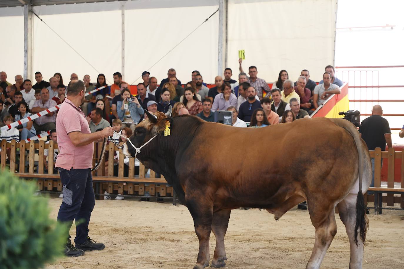 Salmantinos y turistas quieren disfrutar hasta el último minuto de &#039;Salamaq 2024&#039;: gran ambiente en el recinto ferial