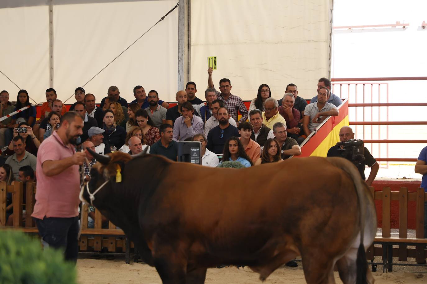 Salmantinos y turistas quieren disfrutar hasta el último minuto de &#039;Salamaq 2024&#039;: gran ambiente en el recinto ferial