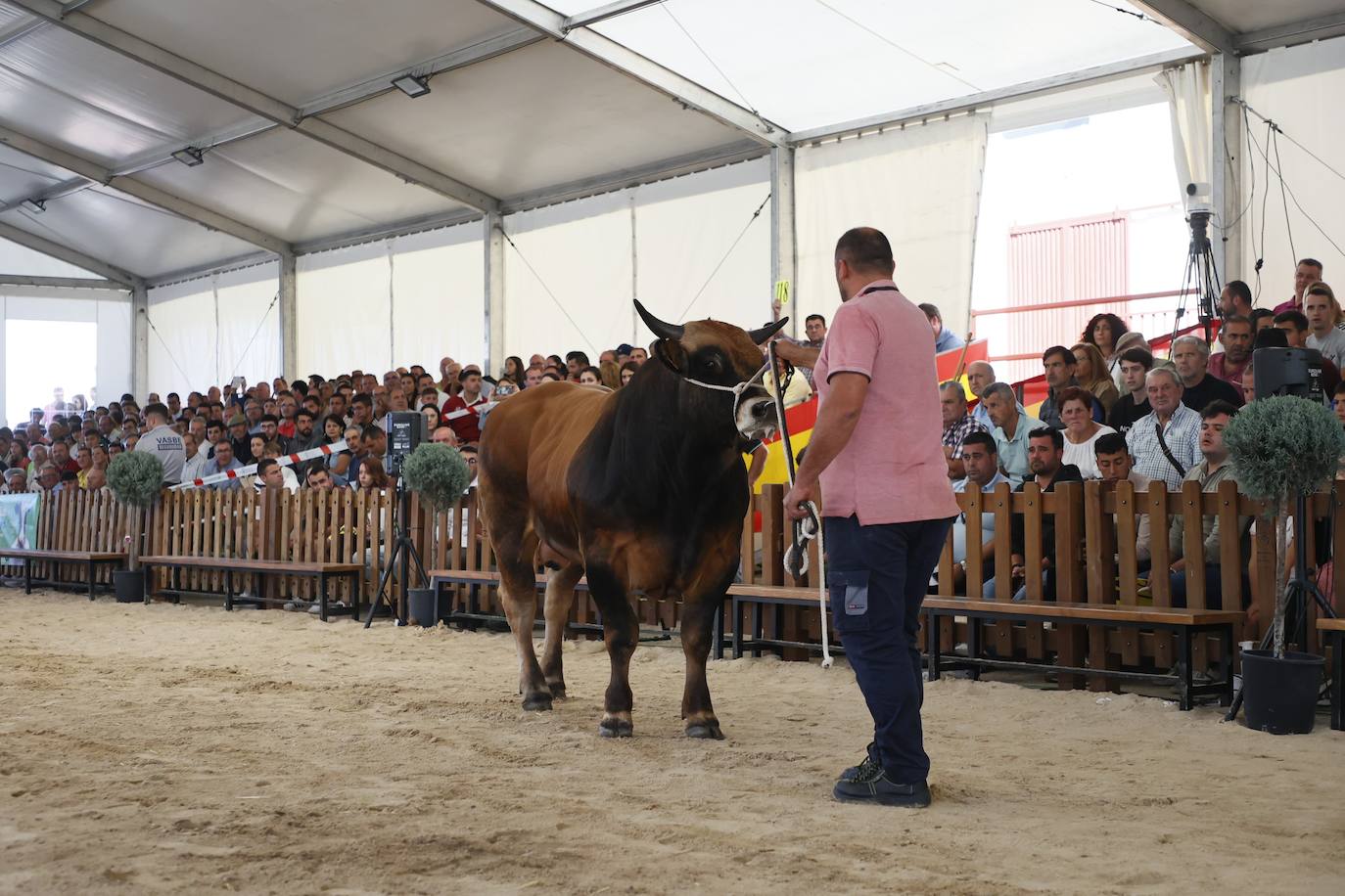 Salmantinos y turistas quieren disfrutar hasta el último minuto de &#039;Salamaq 2024&#039;: gran ambiente en el recinto ferial