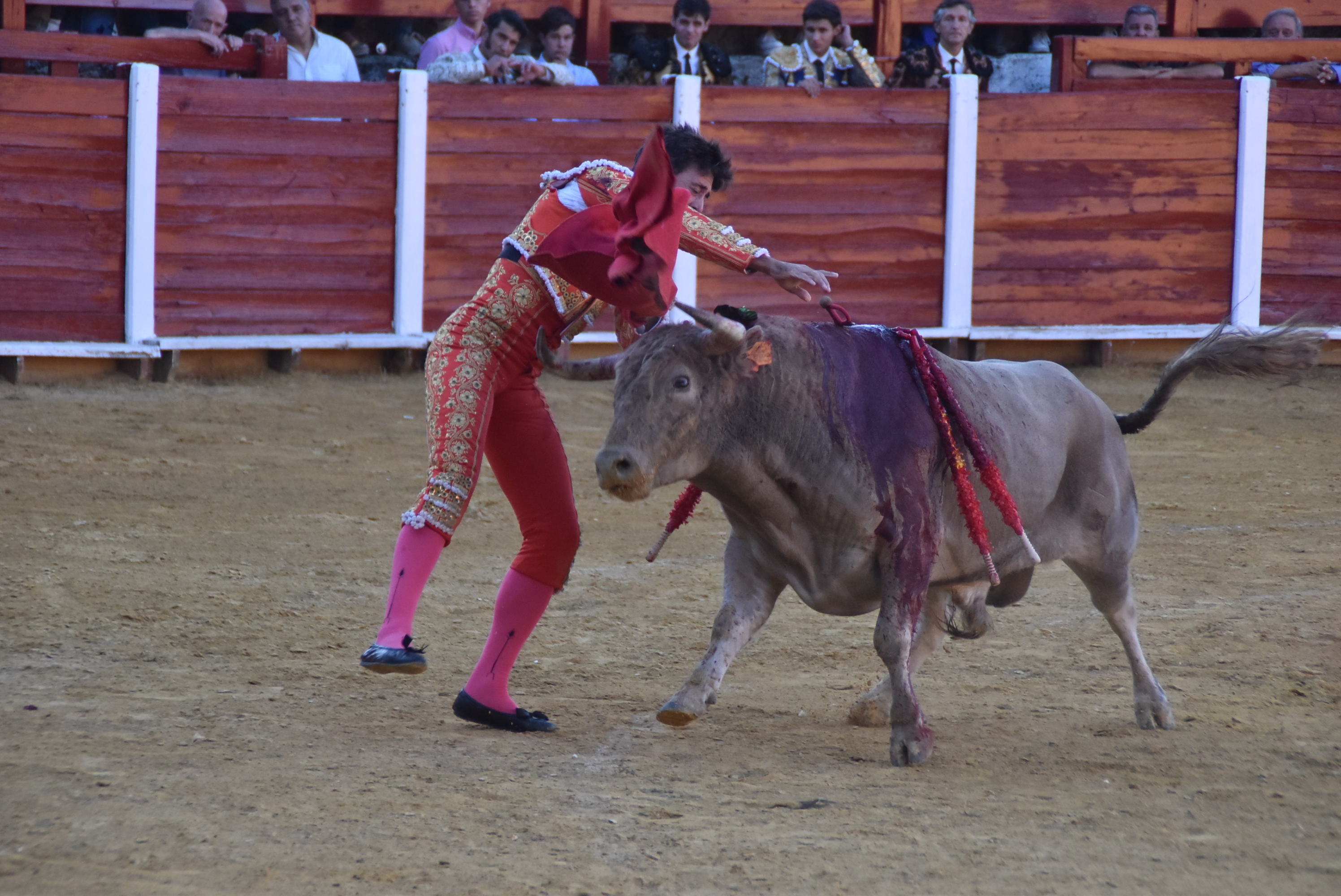 Puerta grande en Béjar para El Capea, Castaño y Diosleguarde
