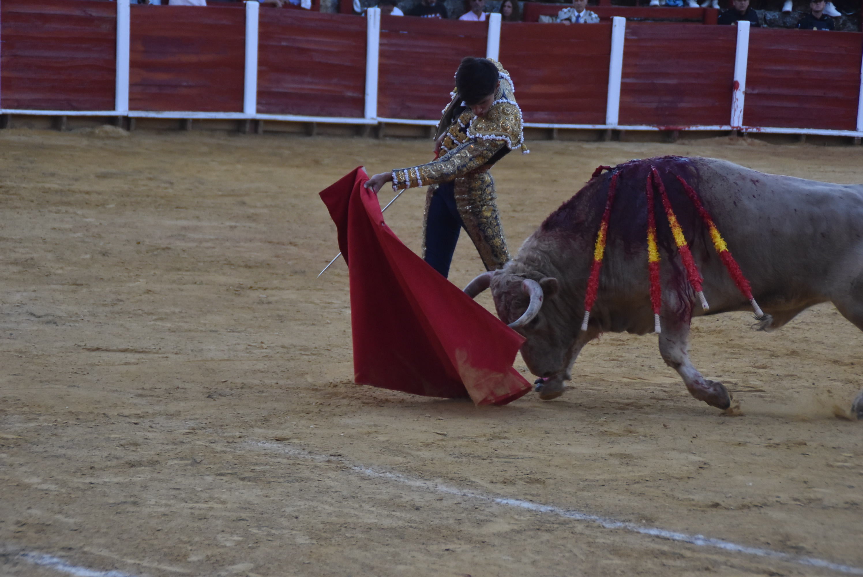 Puerta grande en Béjar para El Capea, Castaño y Diosleguarde