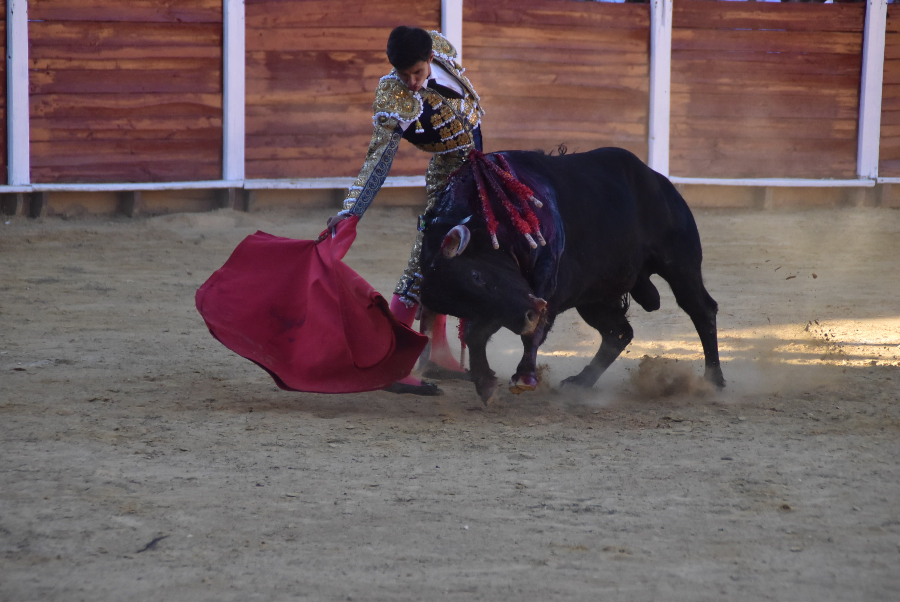 Puerta grande en Béjar para El Capea, Castaño y Diosleguarde