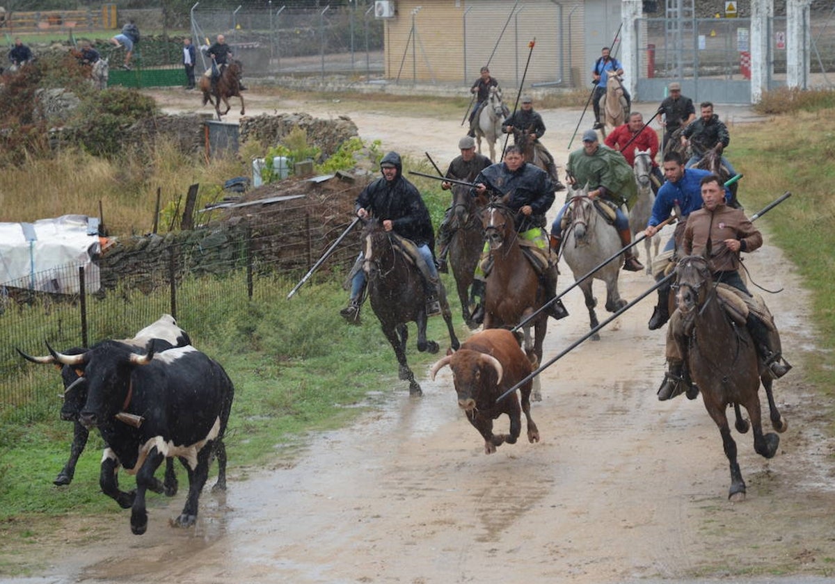 Encierro a caballo a su llegada a la localidad.