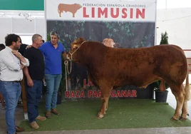 Vidal Ramos, Pedro Coello y Fernando Ramos, con «Tristán».