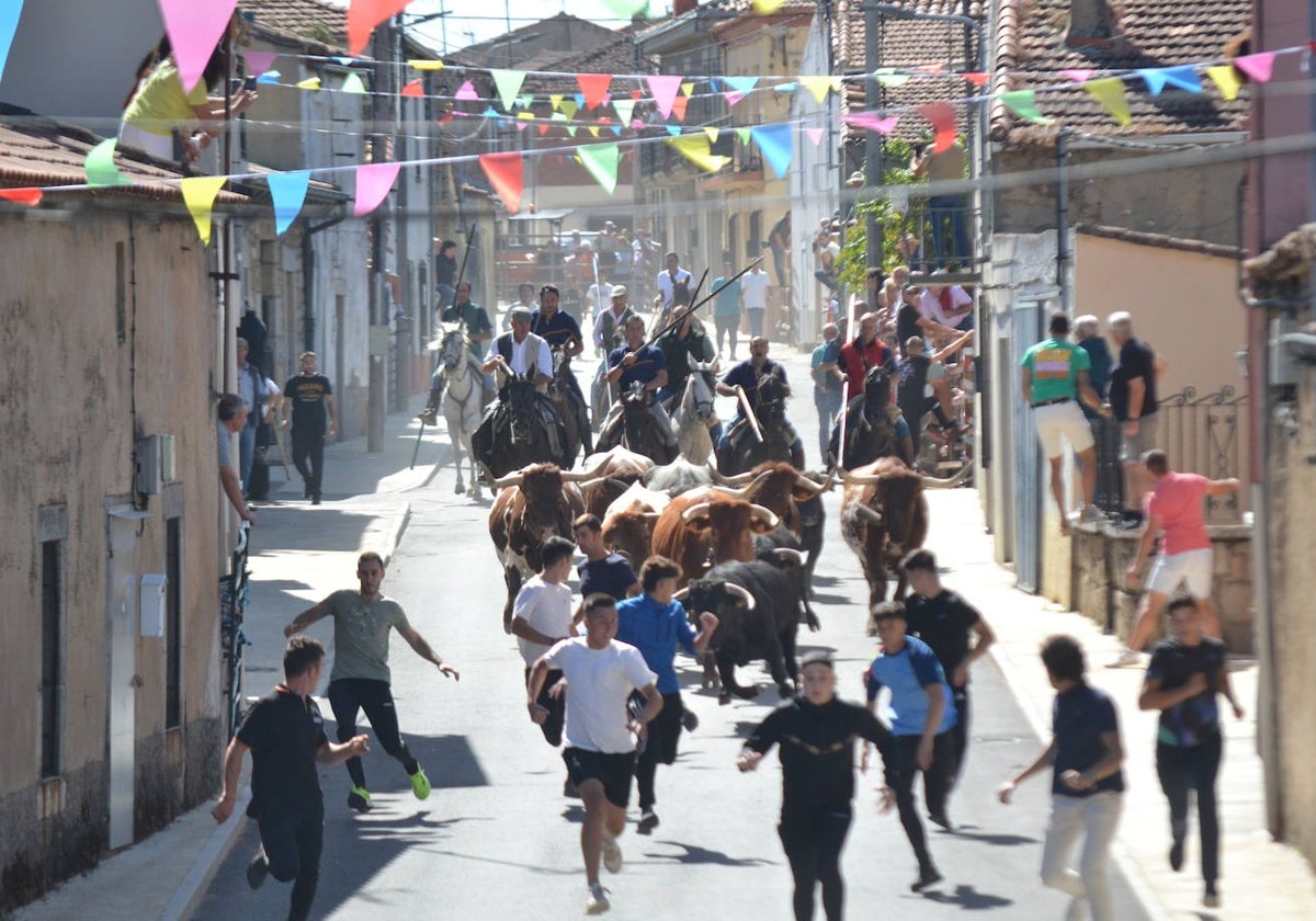 Bello y vistoso encierro a caballo en Bañobárez