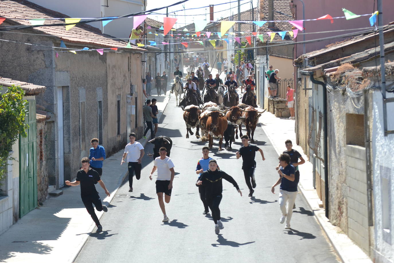 Bello y vistoso encierro a caballo en Bañobárez