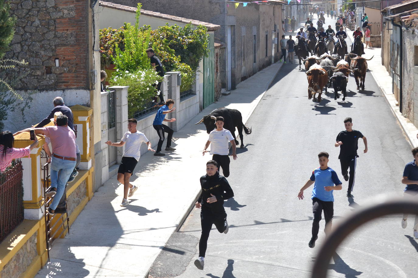 Bello y vistoso encierro a caballo en Bañobárez