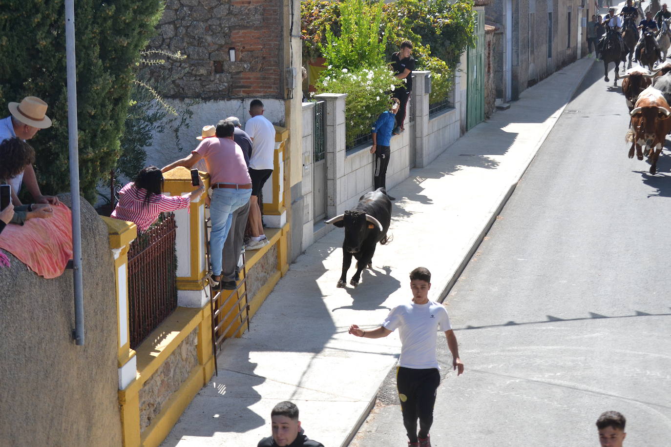 Bello y vistoso encierro a caballo en Bañobárez