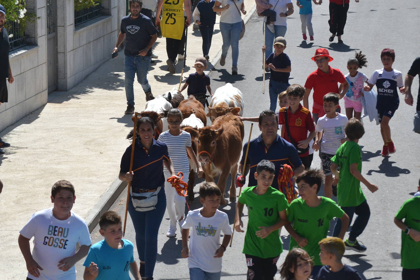 Bello y vistoso encierro a caballo en Bañobárez