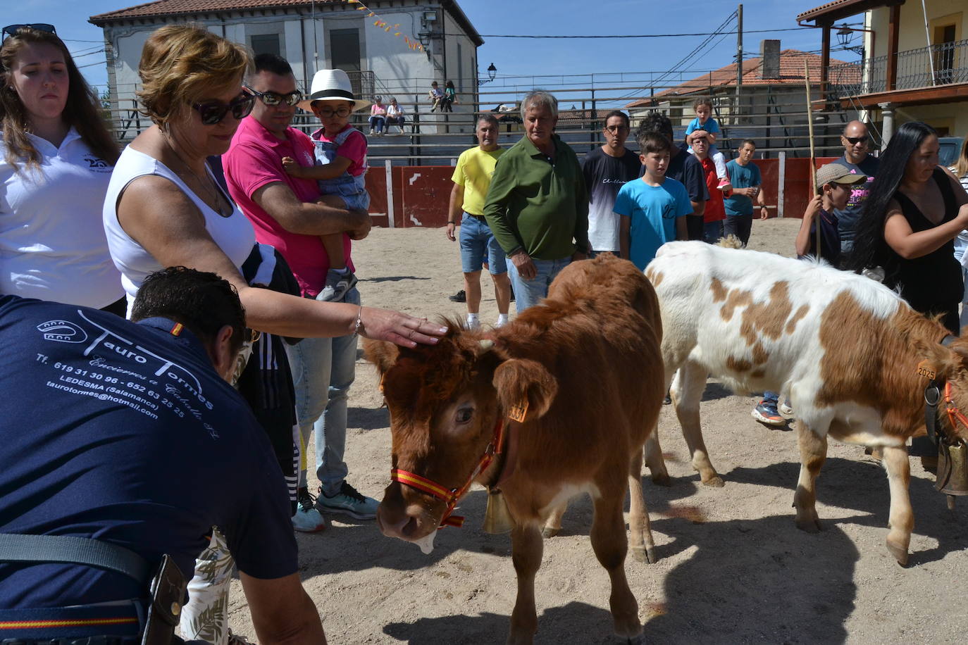 Bello y vistoso encierro a caballo en Bañobárez