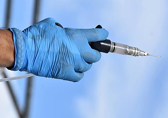 En Salamanca se vacuna frente al serotipo 4 de lengua azul desde 2022.