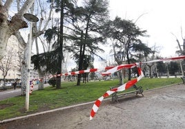 El parque de la Alamedilla acordonado.