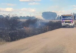 Bomberos durante la extinción.