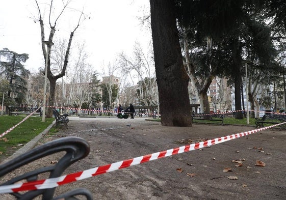 Parque de La Alamedilla cerrado por precaución por rachas de viento.