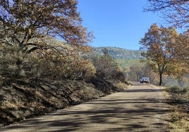 Una de las carreteras de acceso a Monsagro
