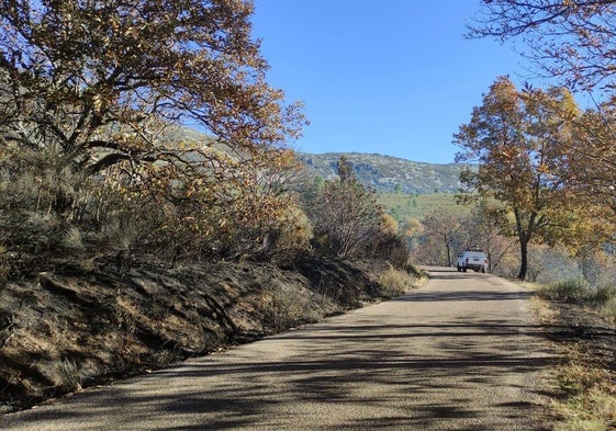 Una de las carreteras de acceso a Monsagro