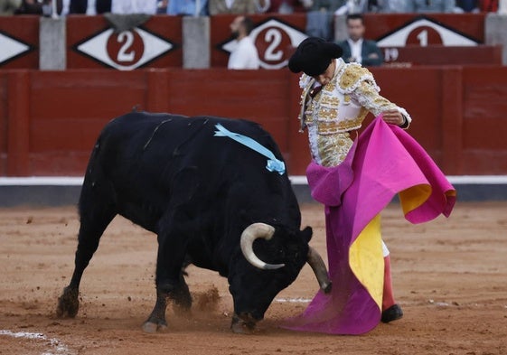 Lance a la verónica de Ismael Martín a Torerito, el toro de Espioja.