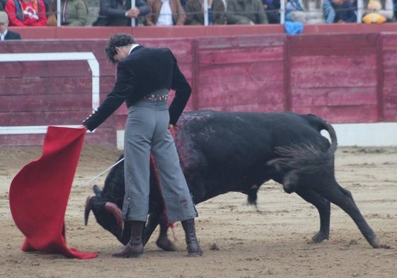 Encajado y largo natural de Antonio Grande a Junquero, el cuarto novillo con el hierro de Sánchez Arjona.