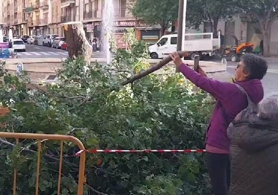 Vecinos protestan por la tala de árboles en la Plaza del Oeste