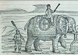 Suleymán, en la edición veneciana de 1558 de la 'Materia Médica' de Dioscórides, de la que fue responsable Pietro Mattioli, médico de Maximiliano II.