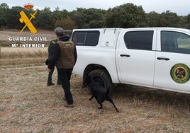 Agentes del Seprona durante otra investigación por maltrato animal en la provincia.