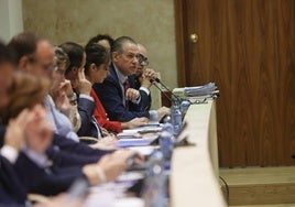 El concejal de Fomento, Fernando Carabias, en el pleno de este jueves.