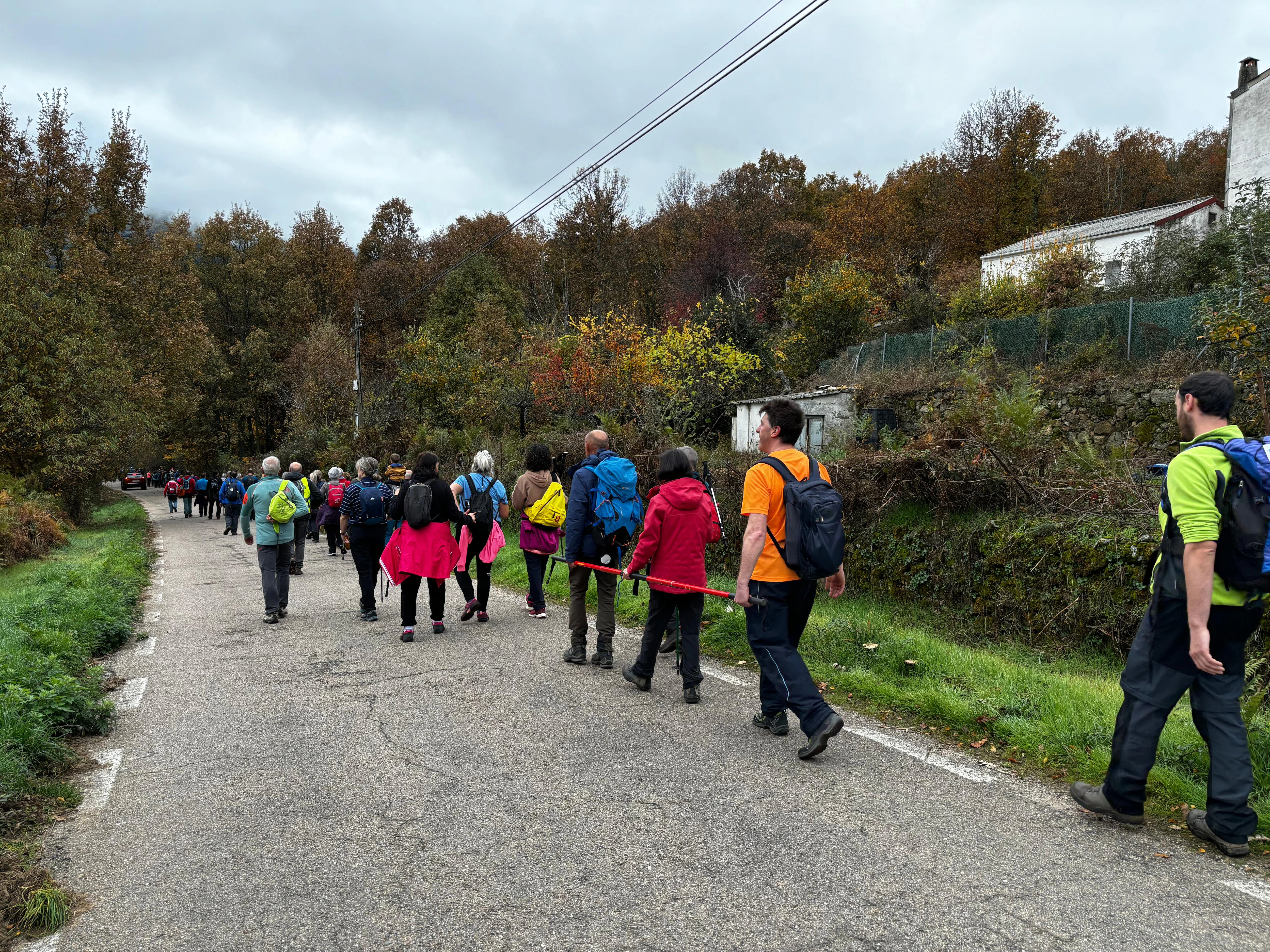 Béjar camina a buen ritmo entre robles y castaños para disfrutar del otoño