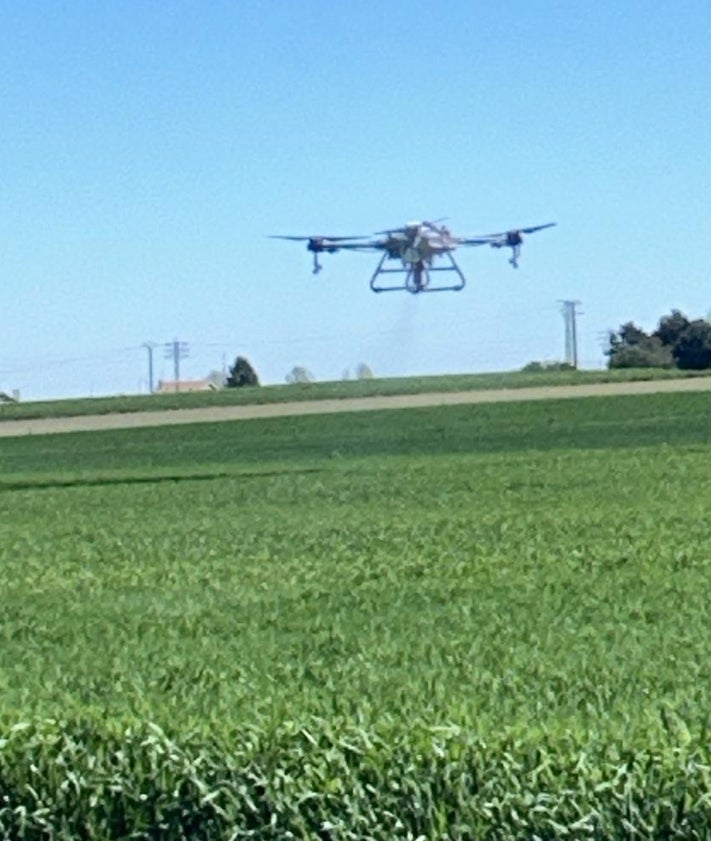 Imagen secundaria 2 - Los drones llegan al campo: «Era la única solución que tenía»