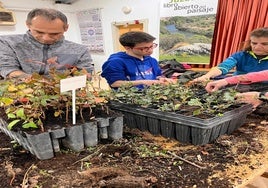 La preparación de la plantación en el vivero de Juzbado.