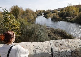 Tramo del río Tormes desde el Puente Romano de Salamanca.