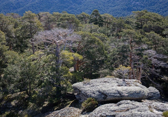 Laguna Negra de Urbión