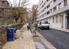 Operarios ultiman la colocación de bancos y la siembra de árboles en la calle Don Bosco.