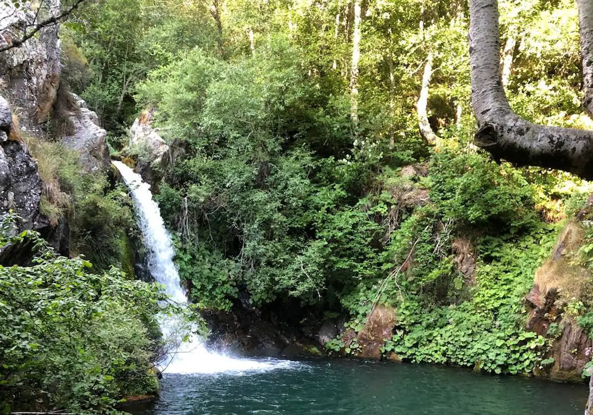 Detalle de la cascada en un claro del bosque |