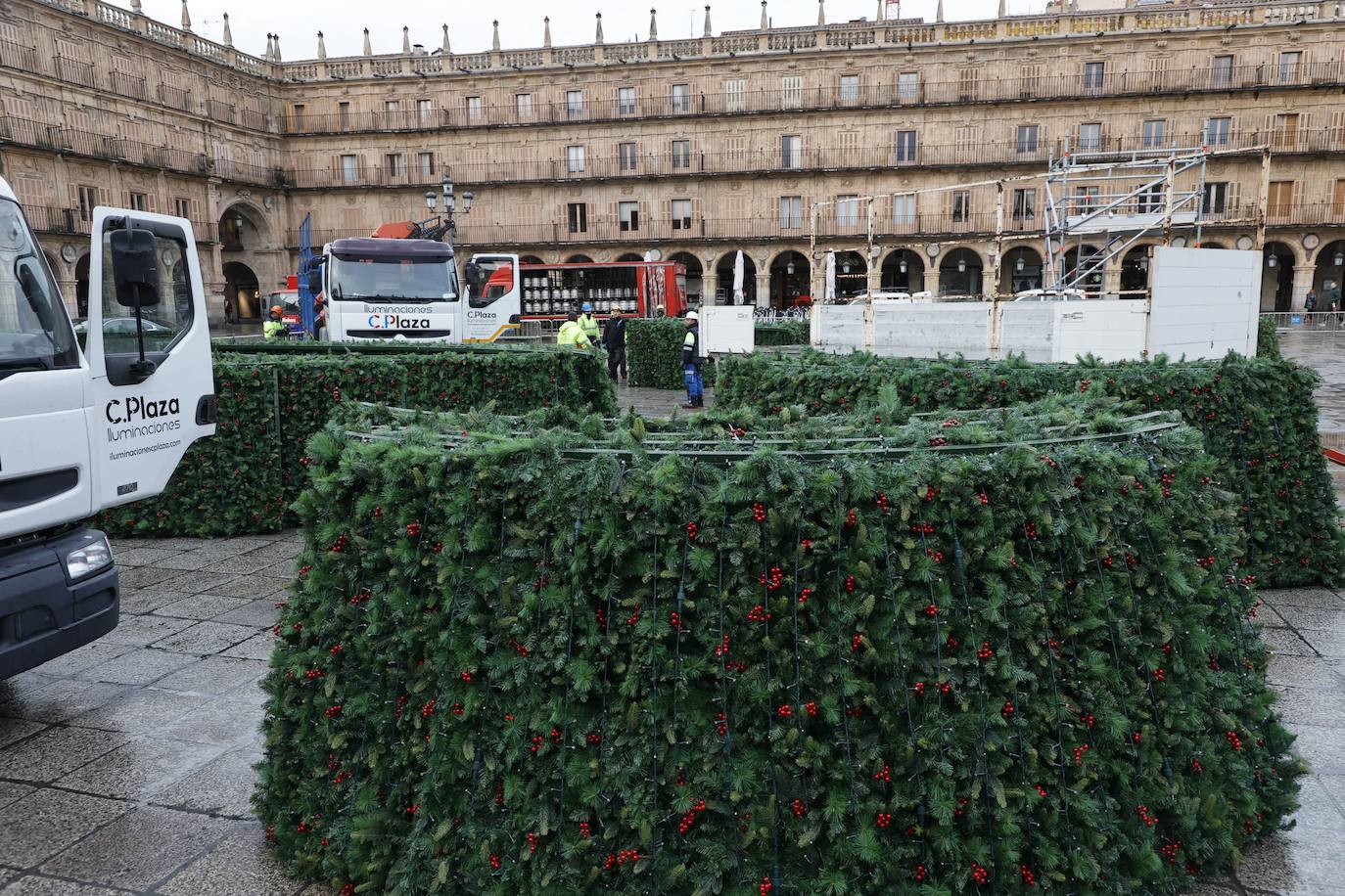 El árbol navideño va tomando forma en la Plaza Mayor