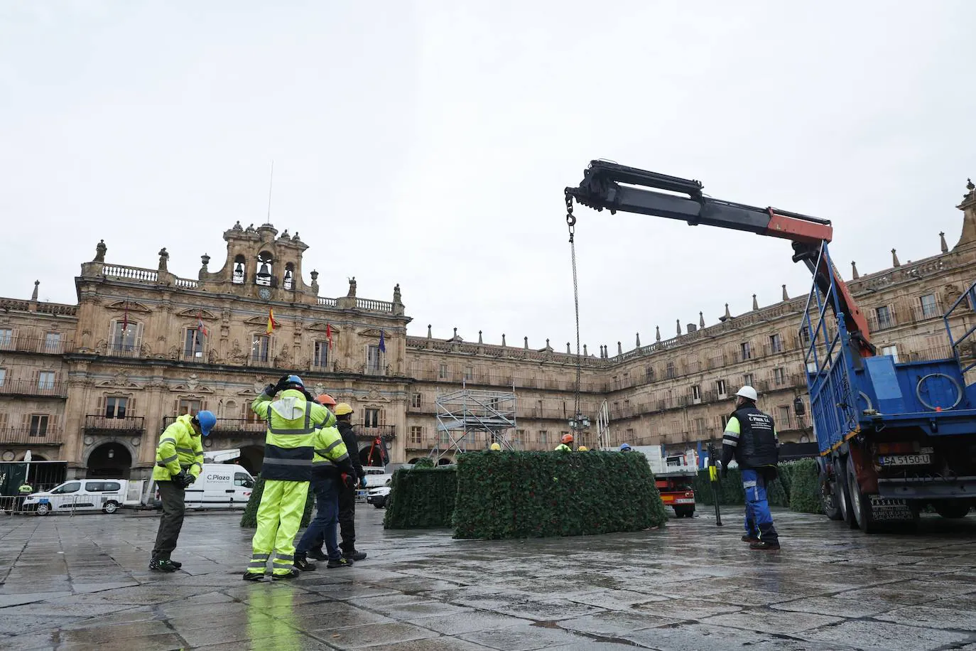 El árbol navideño va tomando forma en la Plaza Mayor