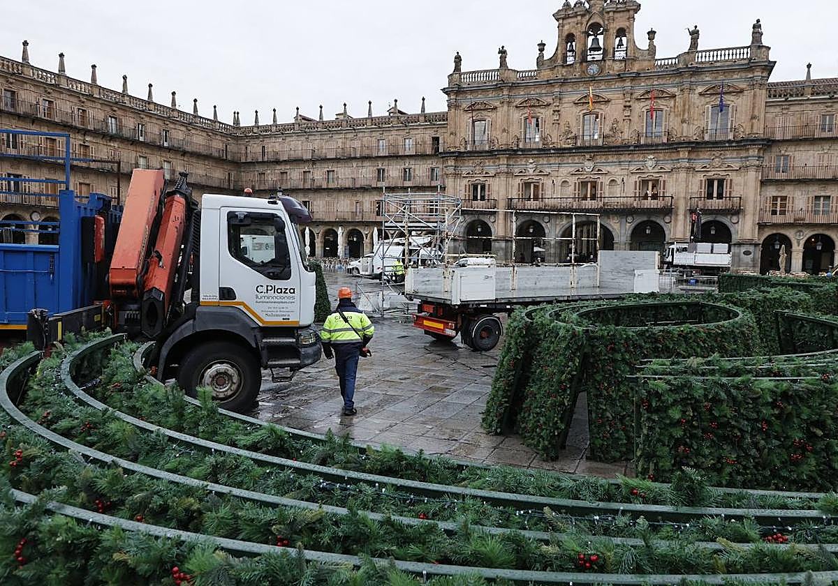 El árbol navideño va tomando forma en la Plaza Mayor