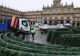 Operarios comienzan con la instalación del árbol de Navidad en la plaza Mayor