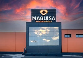 Imagen exterior de las instalaciones de MAGUISA.